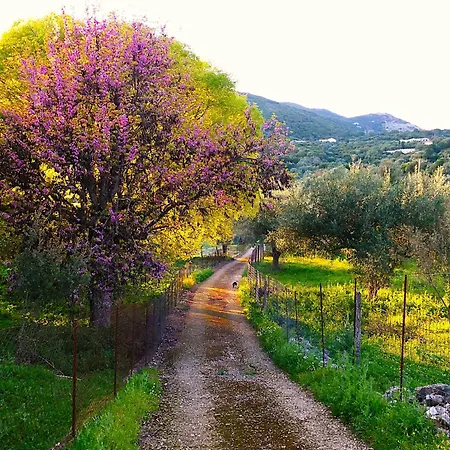 Eleftherion Comfort Living Lefkada Apart-hotel