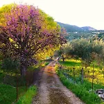 Eleftherion Comfort Living Lefkada アパートホテル