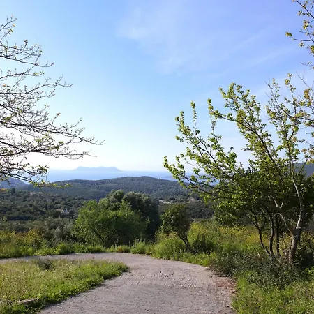Eleftherion Comfort Living Lefkada Fternon