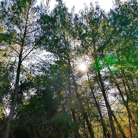 Апарт-отель Eleftherion Comfort Living Lefkada Fternon