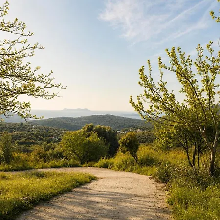 Eleftherion Comfort Living Lefkada 公寓式酒店 4*